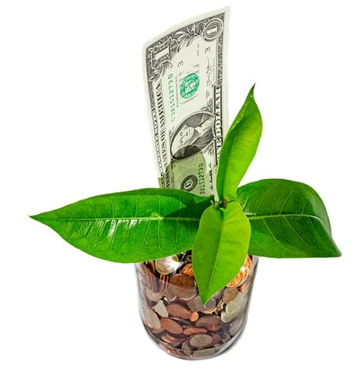 raised by 3 people in 7 days